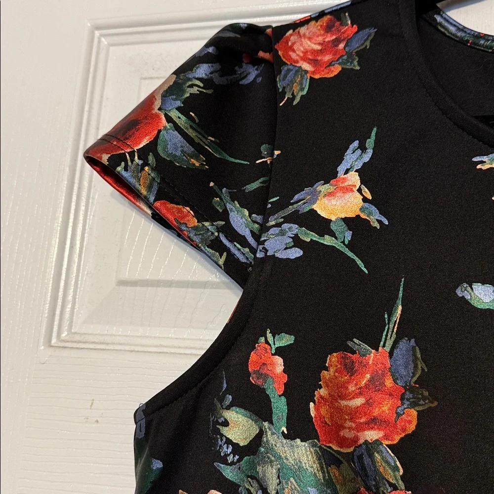 Olivia Matthews Black Red Dress 14 Rose Floral Moody Romantic Goth Noir